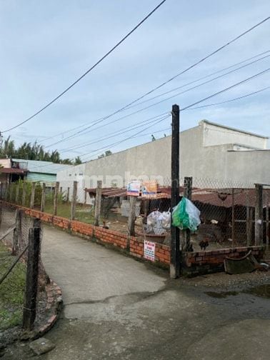 Đất trồng cây hằng năm quy hoạch đất ở Hẻm thông thoáng