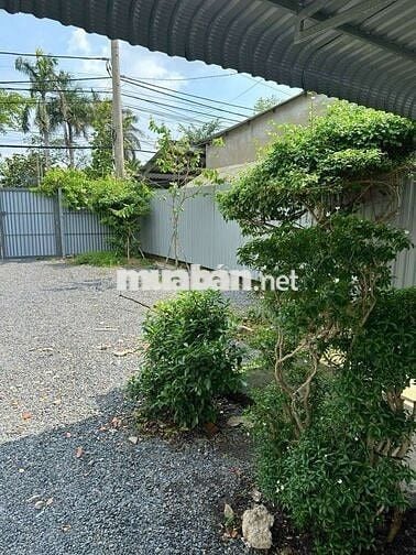 Bán đất đường thanh niên gần chợ cầu xáng, DT 8*40 có 295m thổ.