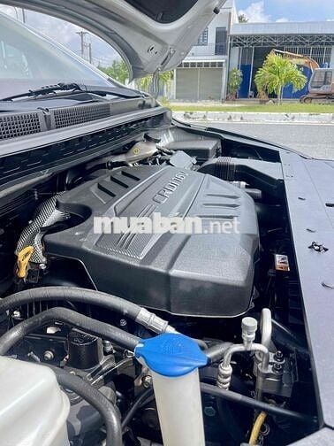 Kia Sedona 2.2 date 2019 (Platinum D)