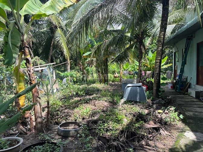 Căn hộ Bungalow cho gia đình – sân vườn rộng, chỗ đậu xe