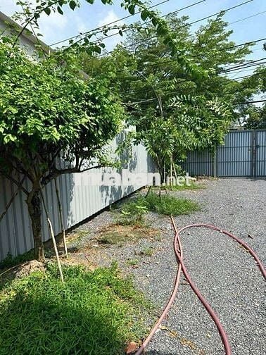 Bán đất đường thanh niên gần chợ cầu xáng, DT 8*40 có 295m thổ.