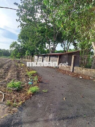 Bán đất sổ đỏ phường Tân Phước Vũng Tàu