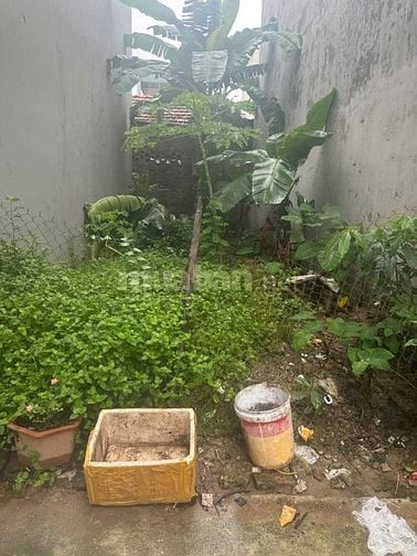 40m2 ĐẤT CAO TRUNG 1 HOÀI ĐỨC MT 3,6m BẰNG HẬU VUÔNG NHƯ BÁNH TRƯNG GI