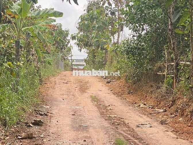 BÁN 1002M2 ĐẤT CÓ 13M MẶT TIÊN HIỂN THỊ,DÂN CƯ XUNG QUANH VỚI GIÁ 600T