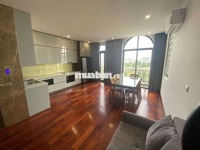 Cho thuê nhà phố siêu rẻ ở và kinh doanh giá hơn 20tr tại OCP GL HN