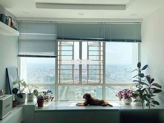 CĂN HỘ HAGL PLAZA 72 HÀM NGHI - TRUNG TÂM ĐÀ NẴNG - DỌN VÀO Ở NGAY!