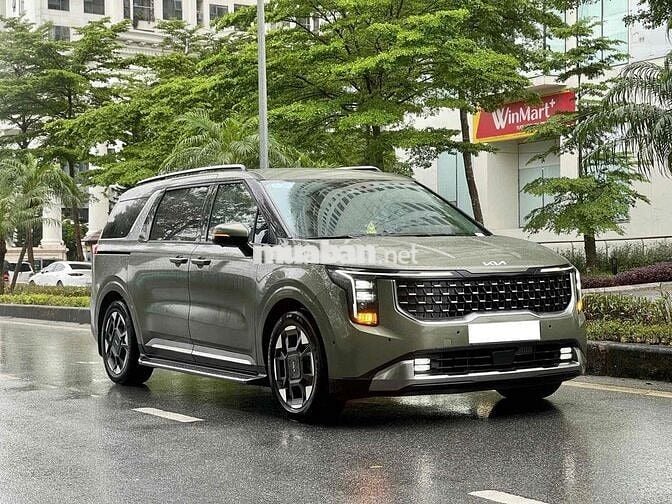 Carnival Premium 7 ghế 2024