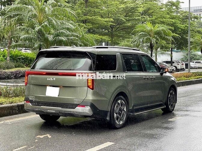 Carnival Premium 7 ghế 2024