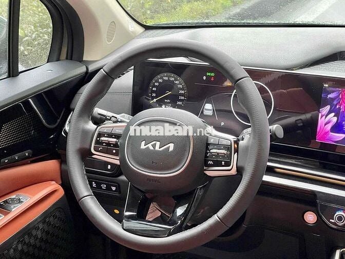 Carnival Premium 7 ghế 2024