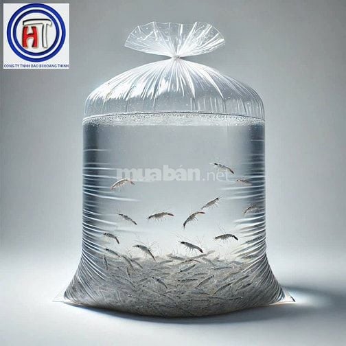 TÚI ĐỰNG CÁ GIỐNG Giải Pháp Đóng Gói, Vận Chuyển Cá An Toàn & Hiệu Q