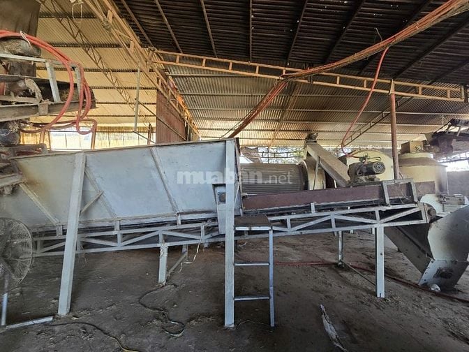 Công ty đấu giá hợp danh Sao Việt – đang đấu giá tài sản