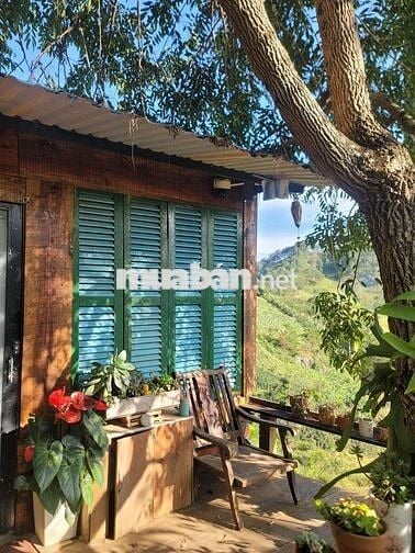 Một vườn đồi 1200m² yên bình ở Đồng Nai, nơi “hương mùa vương áo" 🌿