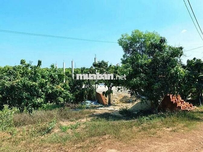 TẶNG NHÀ THÔ KÈM VƯỜN MÍT KHI MUA LÔ ĐẤT 1500M2 + 500M2 ( Kề Suối )