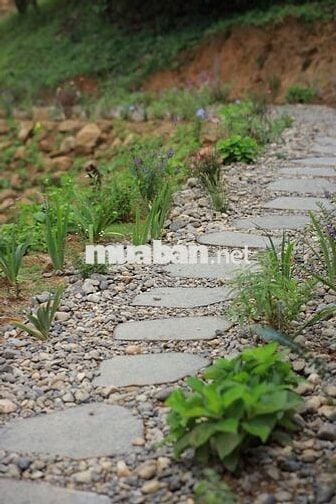 Một vườn đồi 1200m² yên bình ở Đồng Nai, nơi “hương mùa vương áo" 🌿