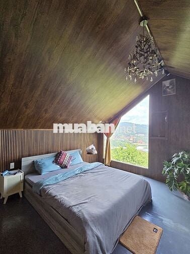 Một vườn đồi 1200m² yên bình ở Đồng Nai, nơi “hương mùa vương áo" 🌿