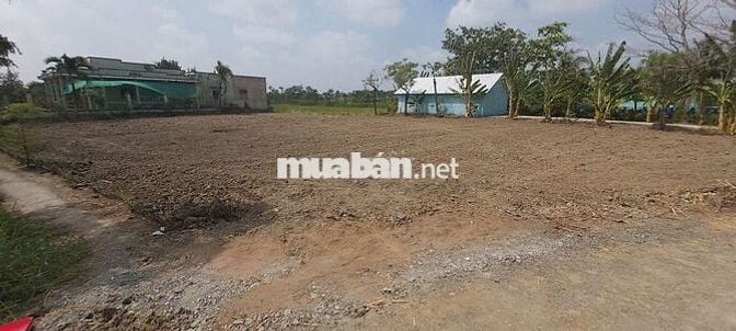 Đất rẻ gần 1000m2 đất thổ cư mặt tiền đường nhựa kế thành phố Gò Công