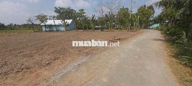 Đất rẻ gần 1000m2 đất thổ cư mặt tiền đường nhựa kế thành phố Gò Công