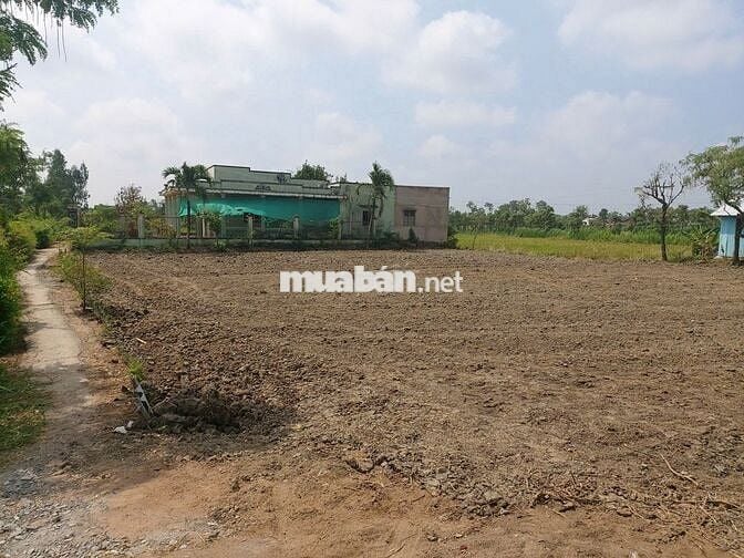 Đất rẻ gần 1000m2 đất thổ cư mặt tiền đường nhựa kế thành phố Gò Công