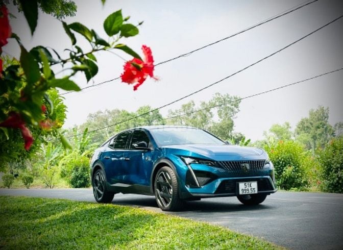 Chuyên Cho Thuê Xe Tự Lái - Royal Car