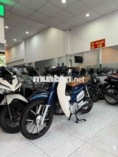 CUP 50cc-2025. Odo 273 Km. Y Như Xe Salon