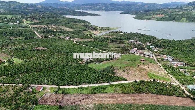 ĐẤT THỔ CƯ DI LINH  -  GẦN CHỢ ĐINH LẠC - 75M2 - CHỈ 275 TRIỆU