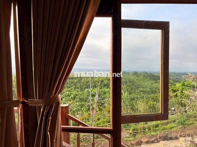 🏞️ Săn mây giữa Định Quán – Vườn giáp suối 1005m² view hồ Trị An 🌿