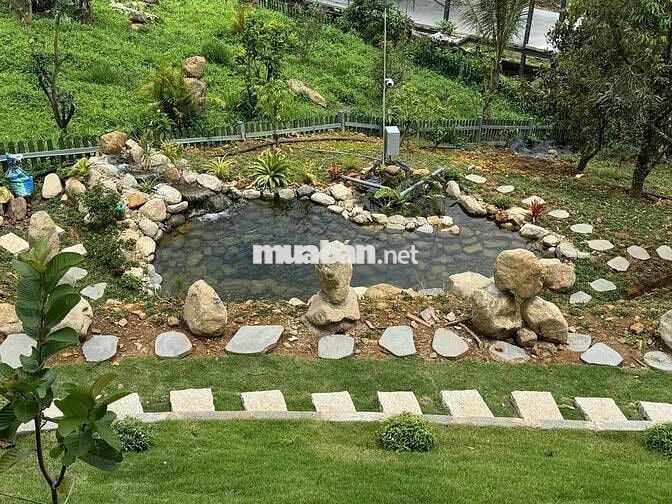 🌿Vườn đồi 2400m² Đồng Nai, Không gian sống xanh yên bình chỉ 850tr/sào