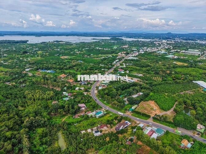 🏞️ Săn mây giữa Định Quán – Vườn giáp suối 1005m² view hồ Trị An 🌿