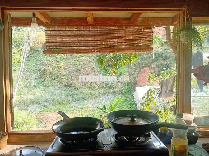 🏡 [CHÍNH CHỦ] NHÀ GỖ 2PN TRONG THUNG LŨNG XANH – NGAY TRUNG TÂM ĐÀ LẠT