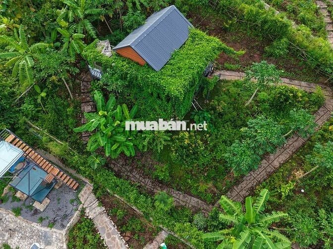 🏞️ Săn mây giữa Định Quán – Vườn giáp suối 1005m² view hồ Trị An 🌿
