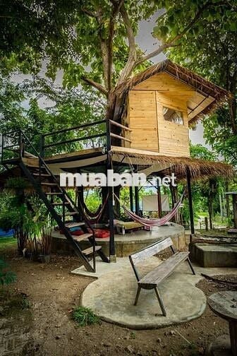 🏞️ Săn mây giữa Định Quán – Vườn giáp suối 1005m² view hồ Trị An 🌿