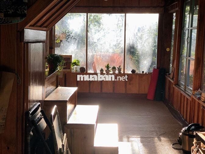 🏡 [CHÍNH CHỦ] NHÀ GỖ 2PN TRONG THUNG LŨNG XANH – NGAY TRUNG TÂM ĐÀ LẠT