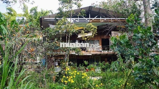 🏡 [CHÍNH CHỦ] NHÀ GỖ 2PN TRONG THUNG LŨNG XANH – NGAY TRUNG TÂM ĐÀ LẠT