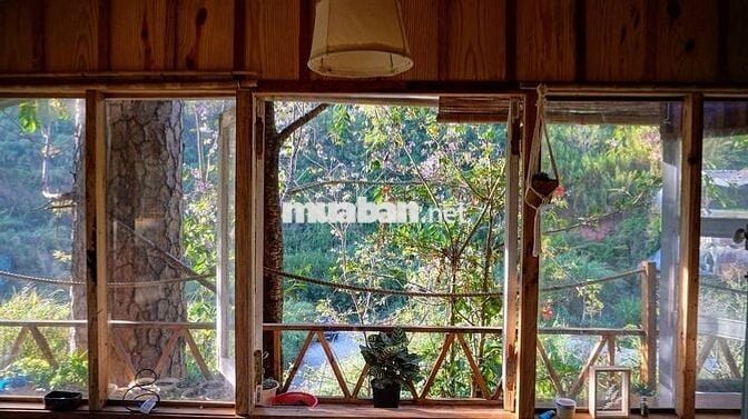 🏡 [CHÍNH CHỦ] NHÀ GỖ 2PN TRONG THUNG LŨNG XANH – NGAY TRUNG TÂM ĐÀ LẠT