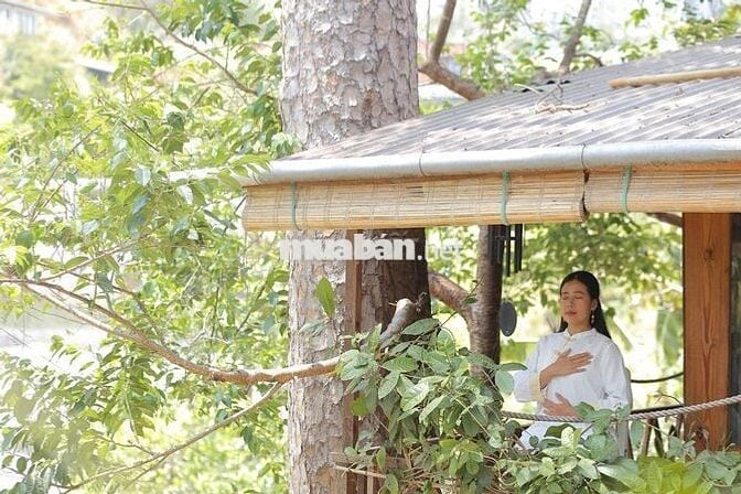 🏡 [CHÍNH CHỦ] NHÀ GỖ 2PN TRONG THUNG LŨNG XANH – NGAY TRUNG TÂM ĐÀ LẠT