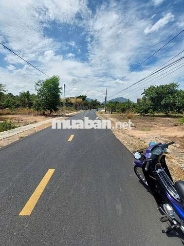 CỰC RẺ CHỦ MUA 4TY5, NHƯNG NAY CẮT LỖ SÂU. BÁN 1TY950