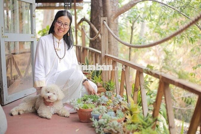 🏡 [CHÍNH CHỦ] NHÀ GỖ 2PN TRONG THUNG LŨNG XANH – NGAY TRUNG TÂM ĐÀ LẠT