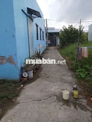 Chính chủ cần bán gấp lô đất thổ cư Lộc Tiền, Mỹ Lộc, Cần Giuộc