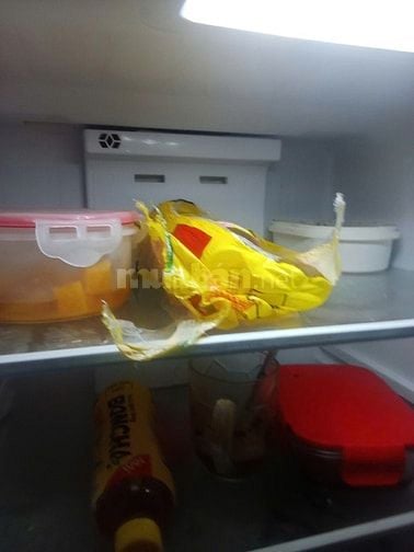 Tủ lạnh đã qua sử dung. Còn bh 95% moi