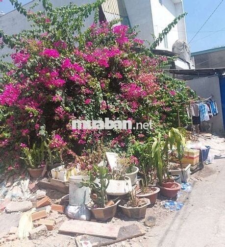 Đất full thổ cư 8x17 ,1xet Phan Văn Hớn Trường Chinh Cầu Tham Lương