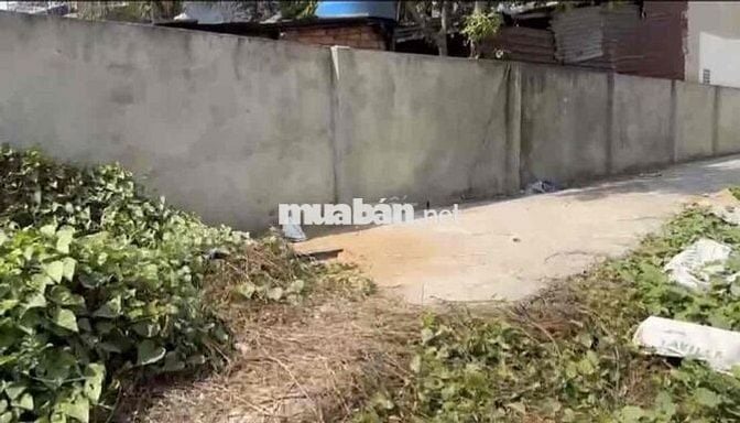 Bán lô đất siêu đẹp P. Tân Phong, Biên Hoà! 400m2 thổ cư giá 16tr/m2