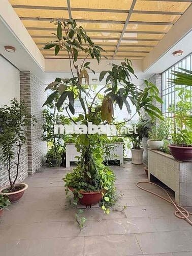 BẠN CẦN MUA NHÀ TÂN BÌNH ĐỂ Ở THÌ ĐÂY LÀ SỰ LỰA CHỌN HOÀN HẢO