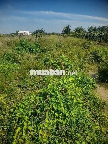 CẦN BÁN GẤP 1.000M2 THỔ + 2.000M2 ĐẤT RUỘNG NGANG 40 X 72