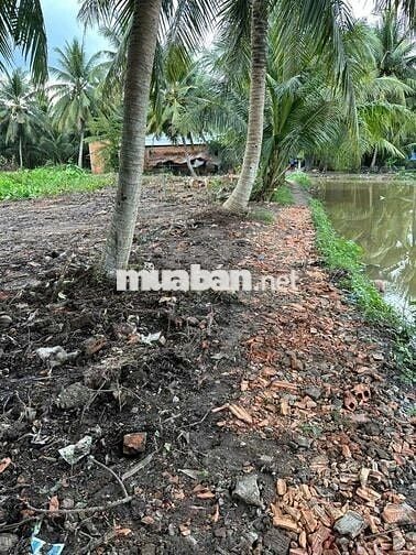 330 TRIỆU CÁCH TRUNG TÂM TP VĨNH LONG 3, 5km