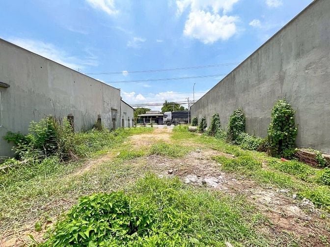 Siêu phẩm đầu tháng 11 Giá rẻ 