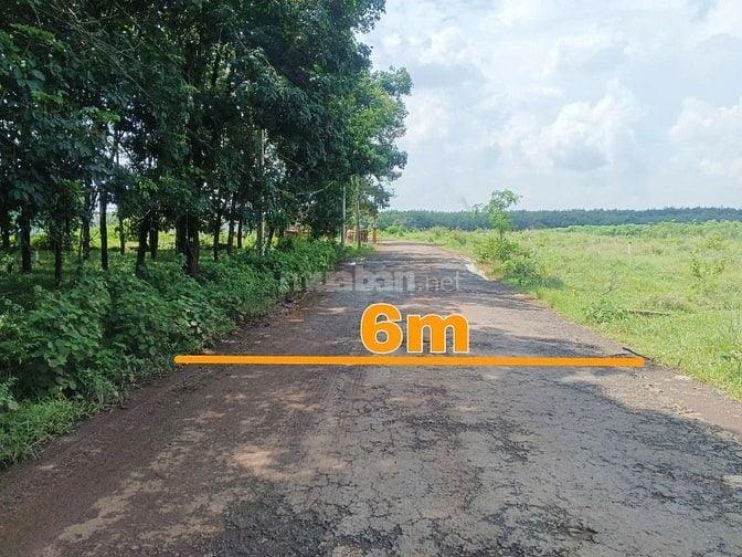 Công ty Đấu giá hợp danh Lam Sơn Sài Gòn THÔNG BÁO ĐẤU GIÁ TÀI SẢN