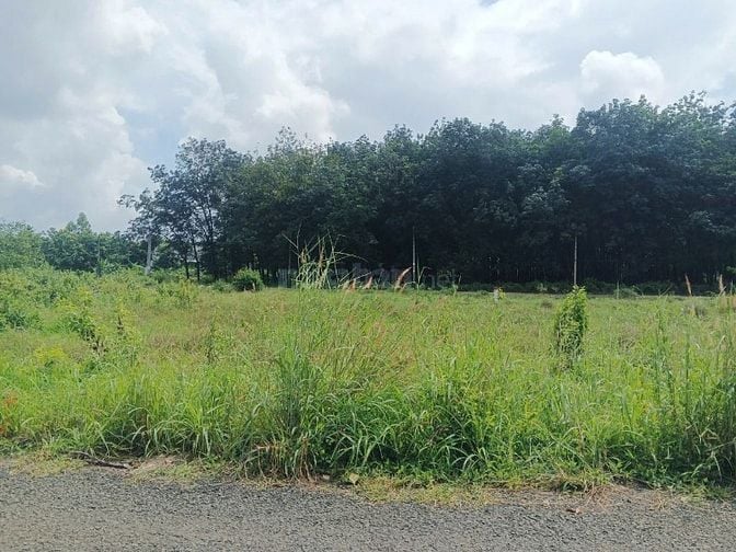 Công ty Đấu giá hợp danh Lam Sơn Sài Gòn THÔNG BÁO ĐẤU GIÁ TÀI SẢN