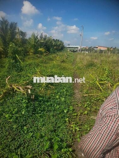 CẦN BÁN GẤP 1.000M2 THỔ + 2.000M2 ĐẤT RUỘNG NGANG 40 X 72