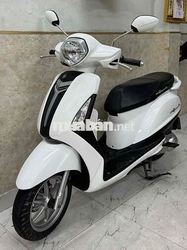 Gremđe màu trắng mới keng 43D1-577.45