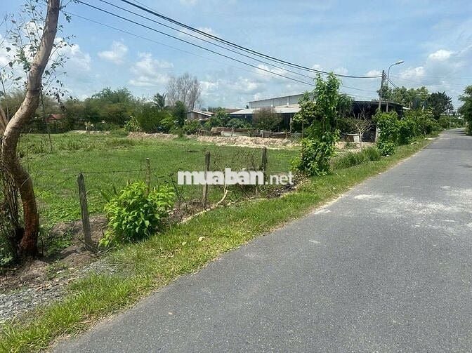 Chính chủ kẹt tiền bán gấp lô đất 168,8m² tại Nguyễn Thị Quá chỉ 500tr